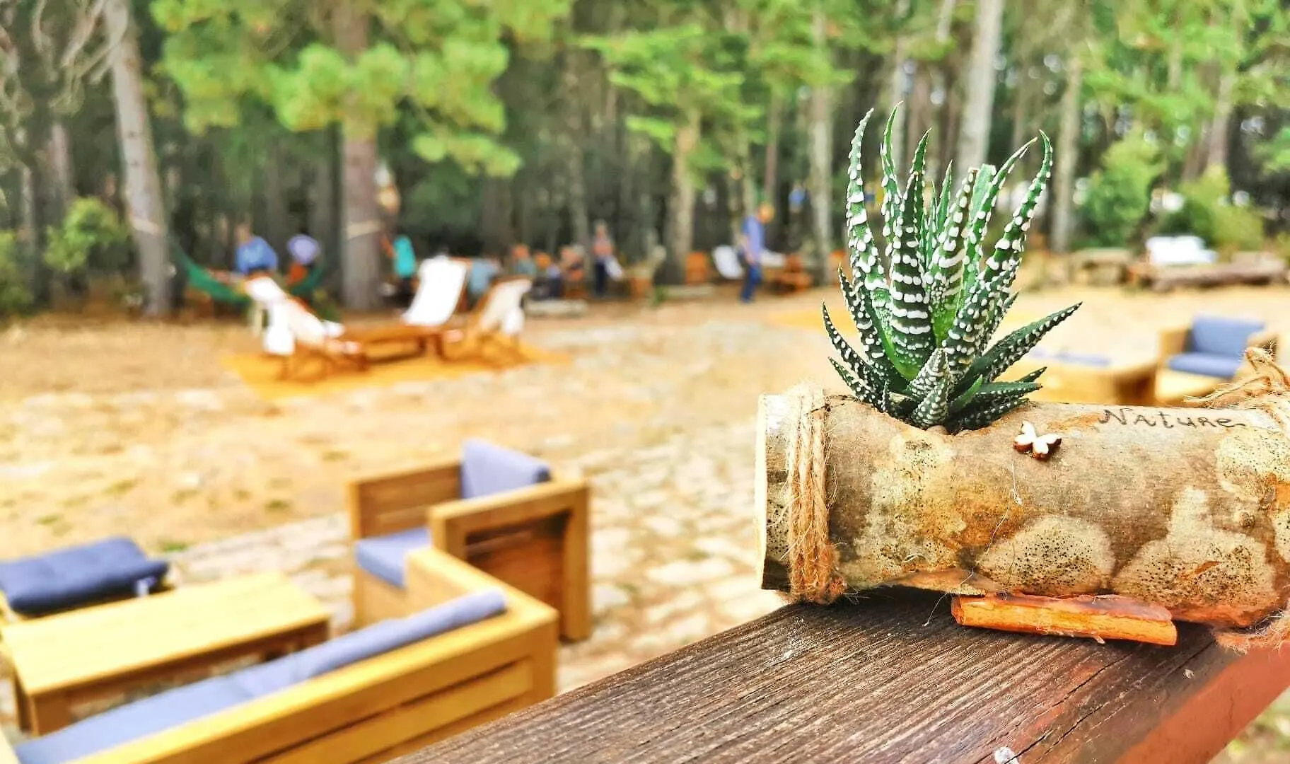 Vallicciola Nature Hotel Tempio Pausania