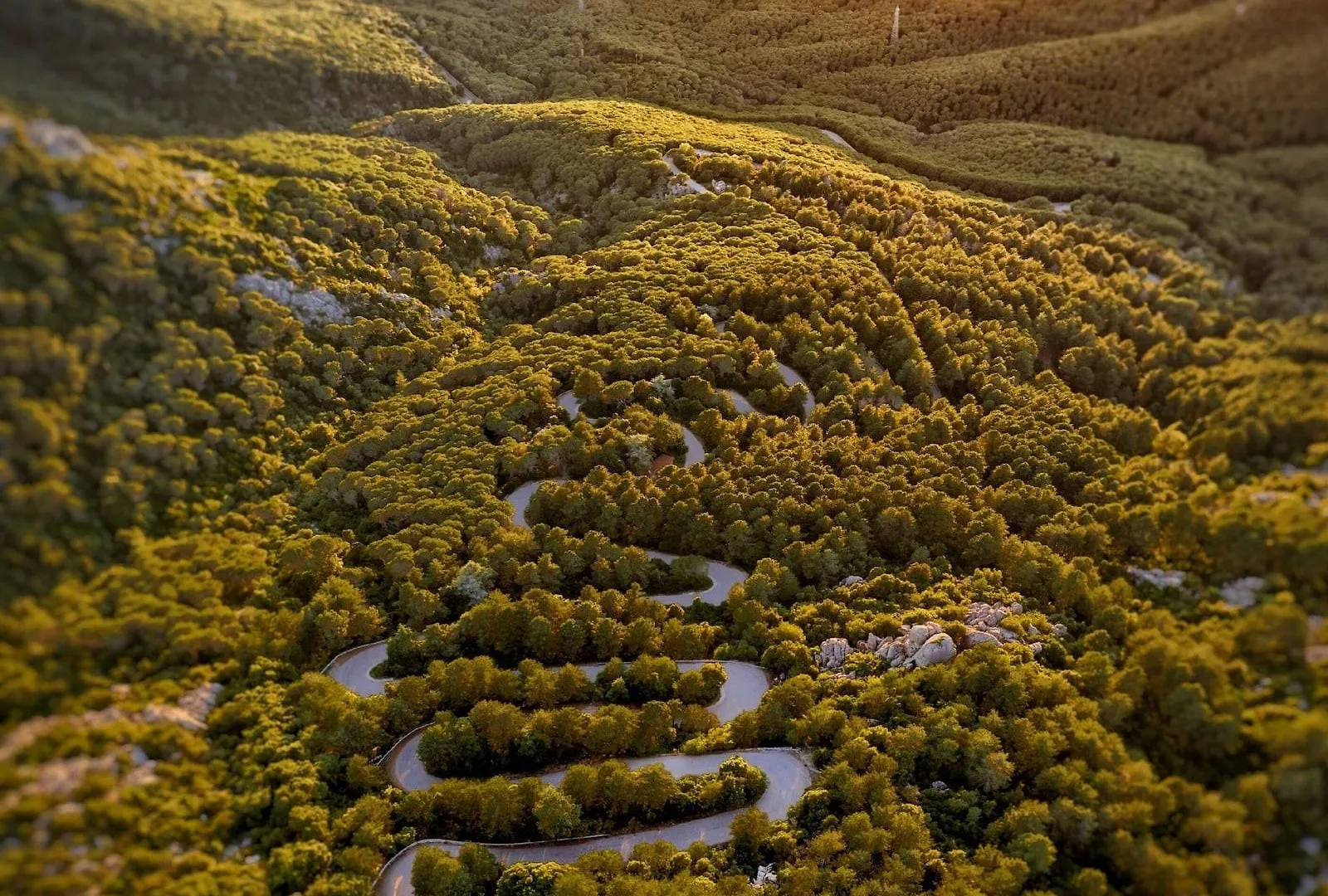 Vallicciola Nature Hotel Tempio Pausania